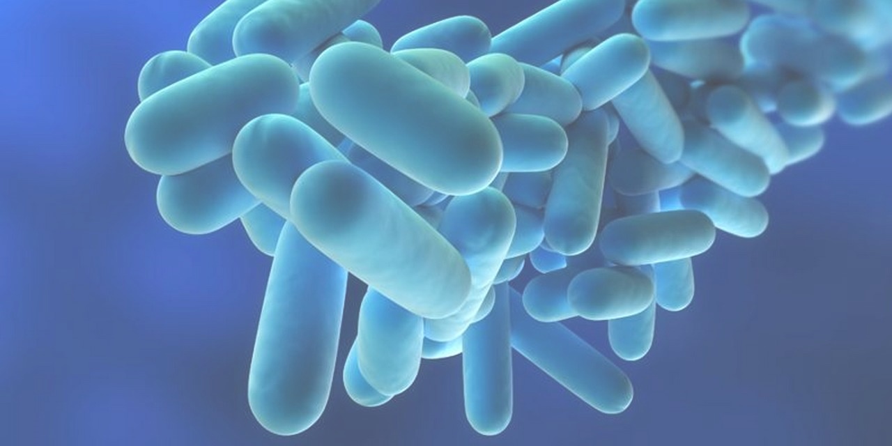 LEGIONELLA